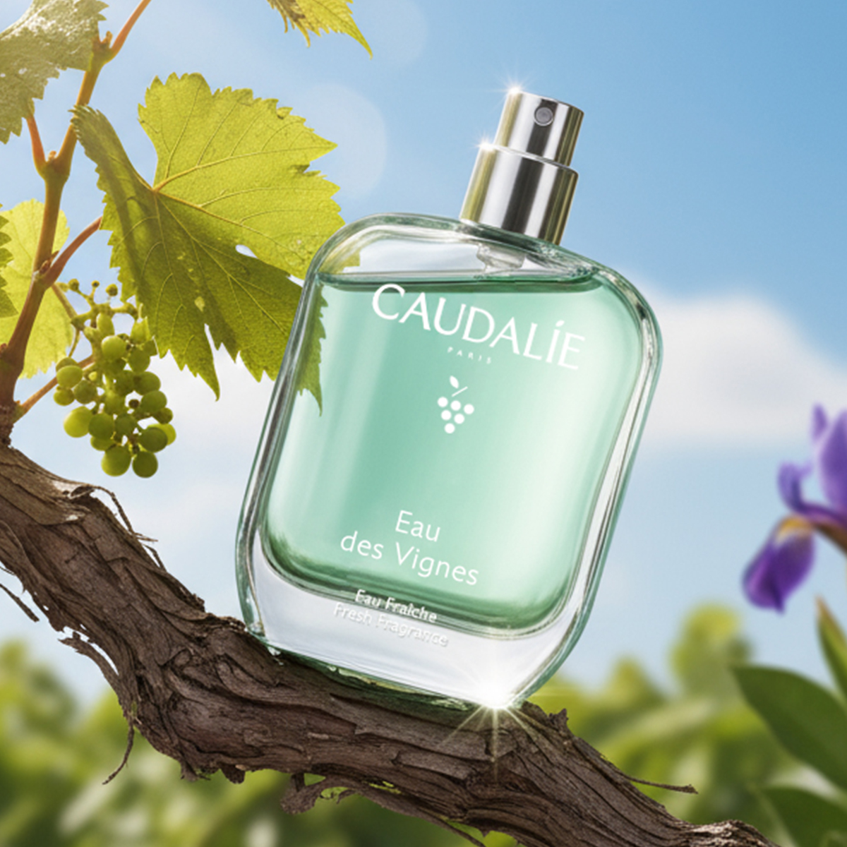 caudalie eau des vignes miris za tijelo