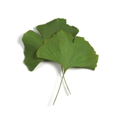 Apivita Express beauty maska za područje oko očiju s ginko bilobom