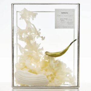 skin1004 Lab in Nature: Matrixyl 10 Boosting Shot Ampoule